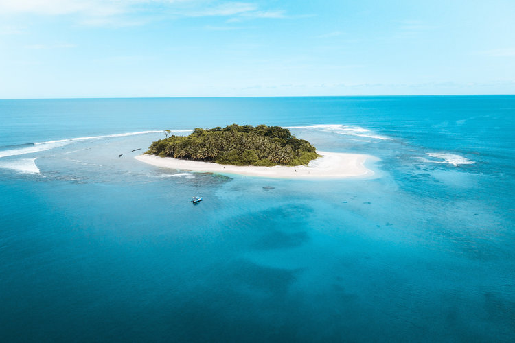 Kingfisher Mentawai