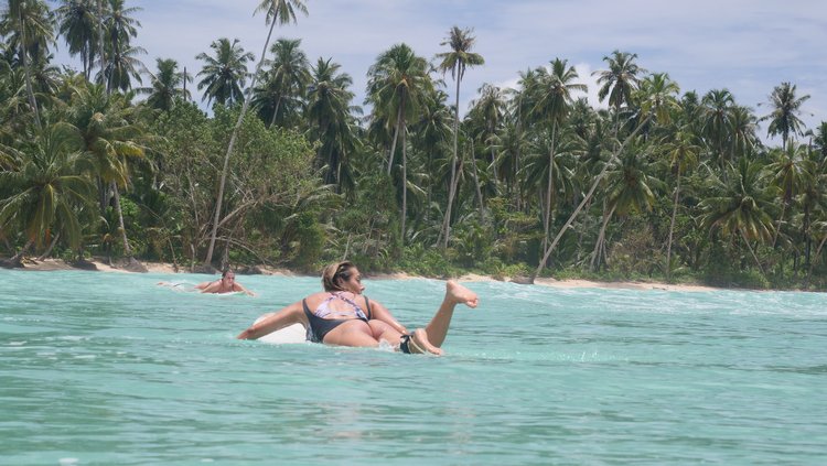 Kingfisher Mentawai